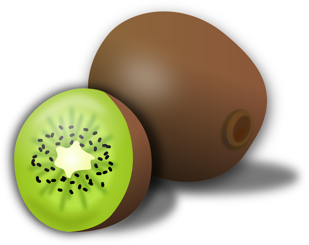 Wholeand Half Kiwi Fruit Illustration