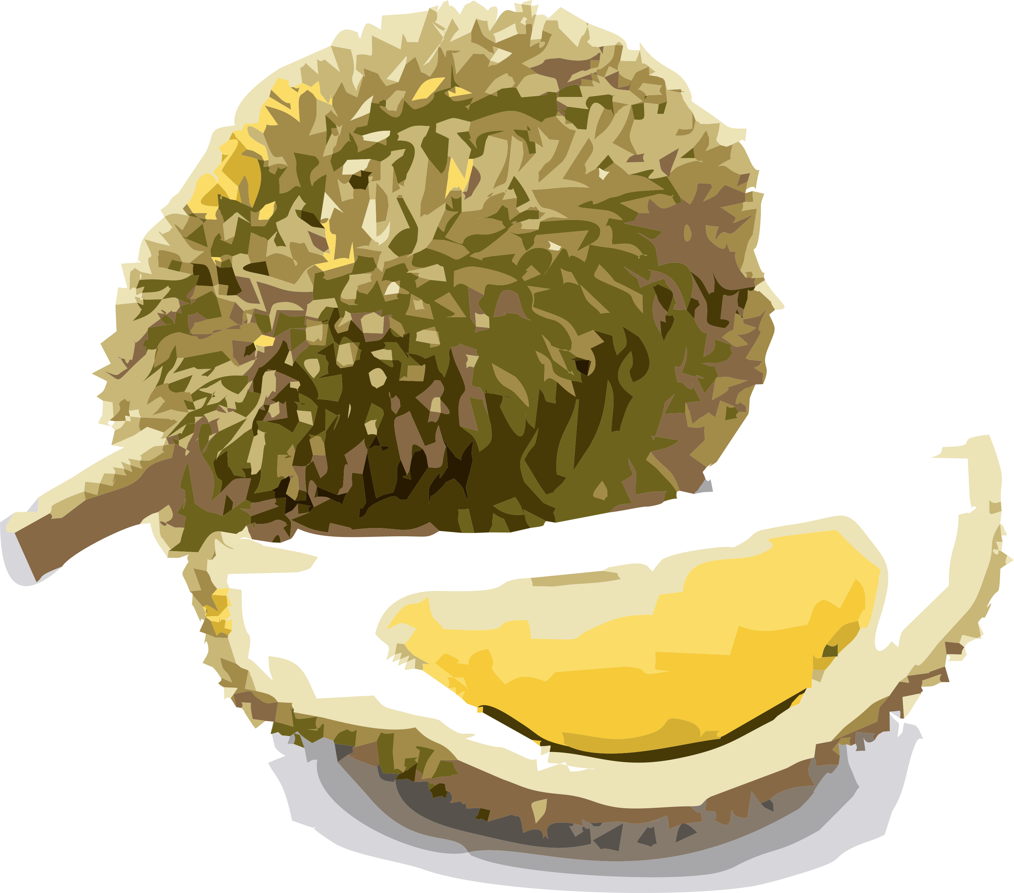 Wholeand Sliced Durian Fruit