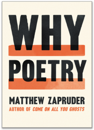 Why Poetry Book Cover