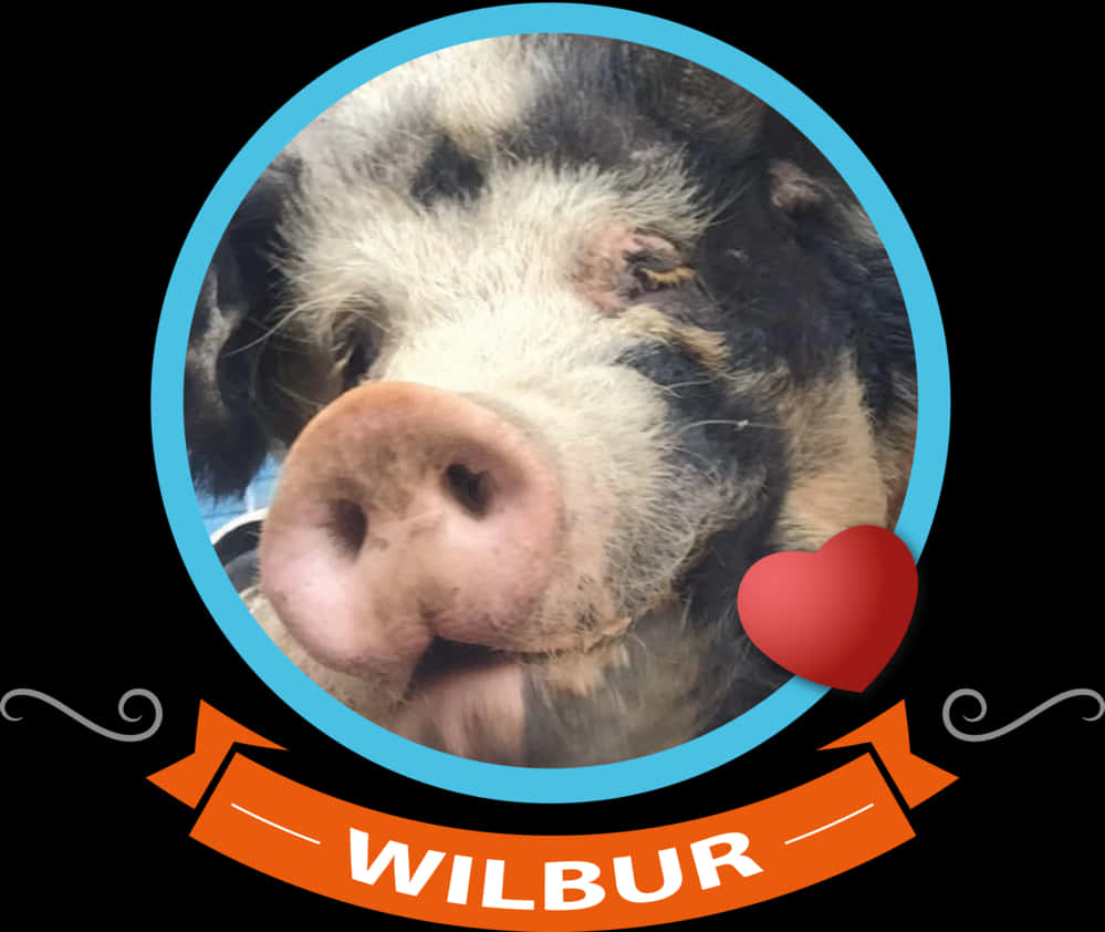 Wilbur Pig Portraitwith Heart