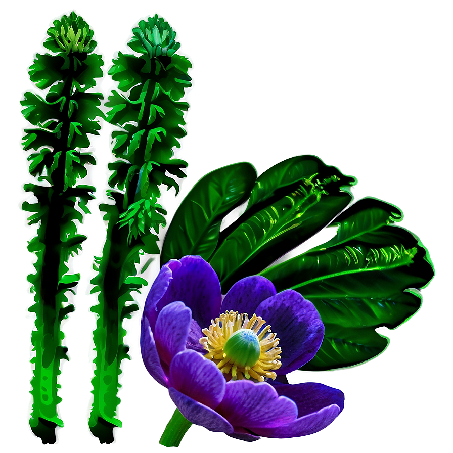 Wild Anemone Png Kxy44