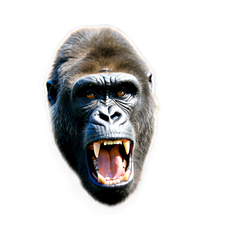 Wild Angry Gorilla Png 06252024