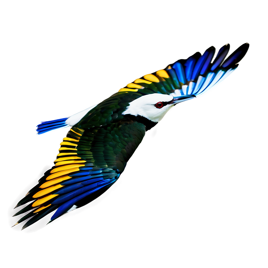 Wild Bird In Flight Png 36