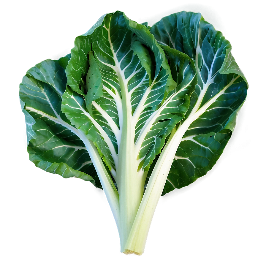 Wild Cabbage Png 60