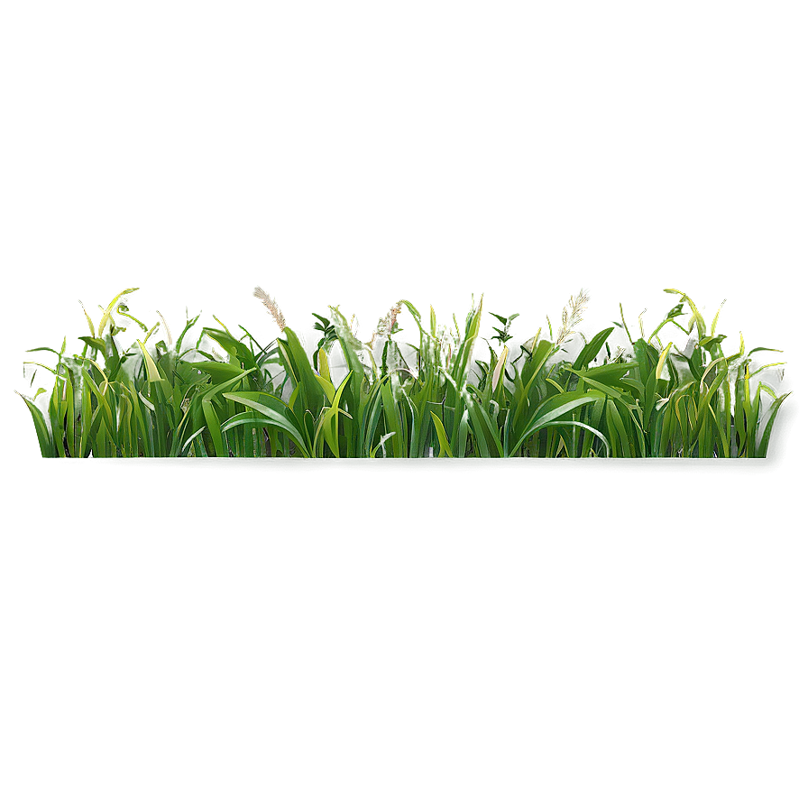 Wild Grass Border Png 31