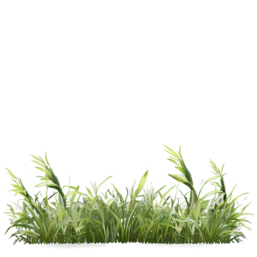 Wild Grass Border Png Hhe89