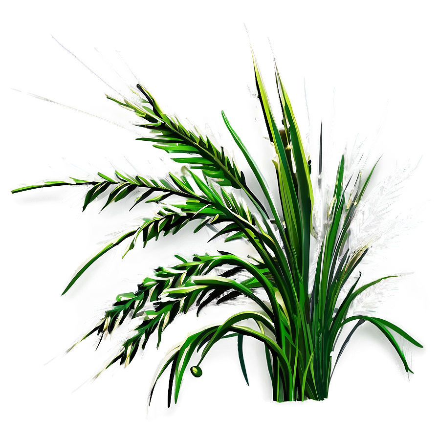 Wild Grass Clipart Png Cir11