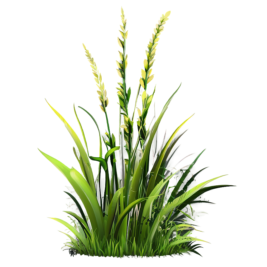 Wild Grass Detail Png 06292024