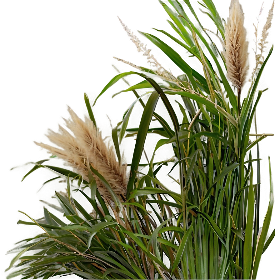 Wild Grass Texture Png 22