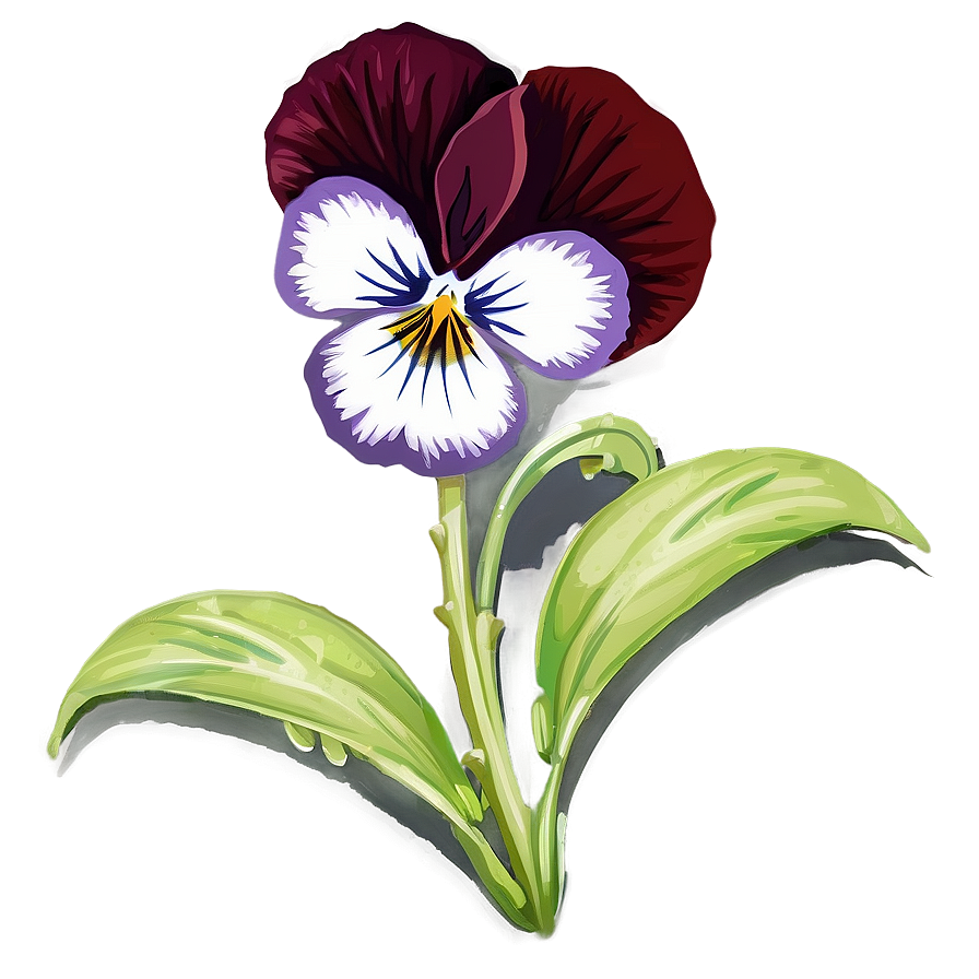 Wild Pansy Png 06232024