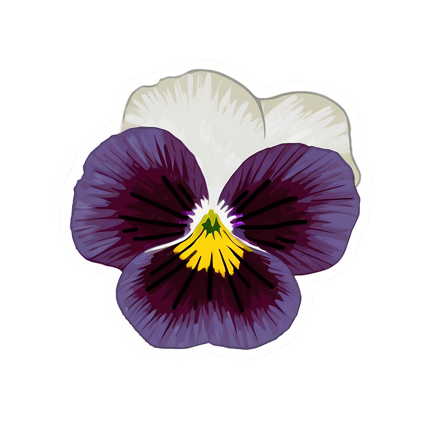 Wild Pansy Png Mdp50