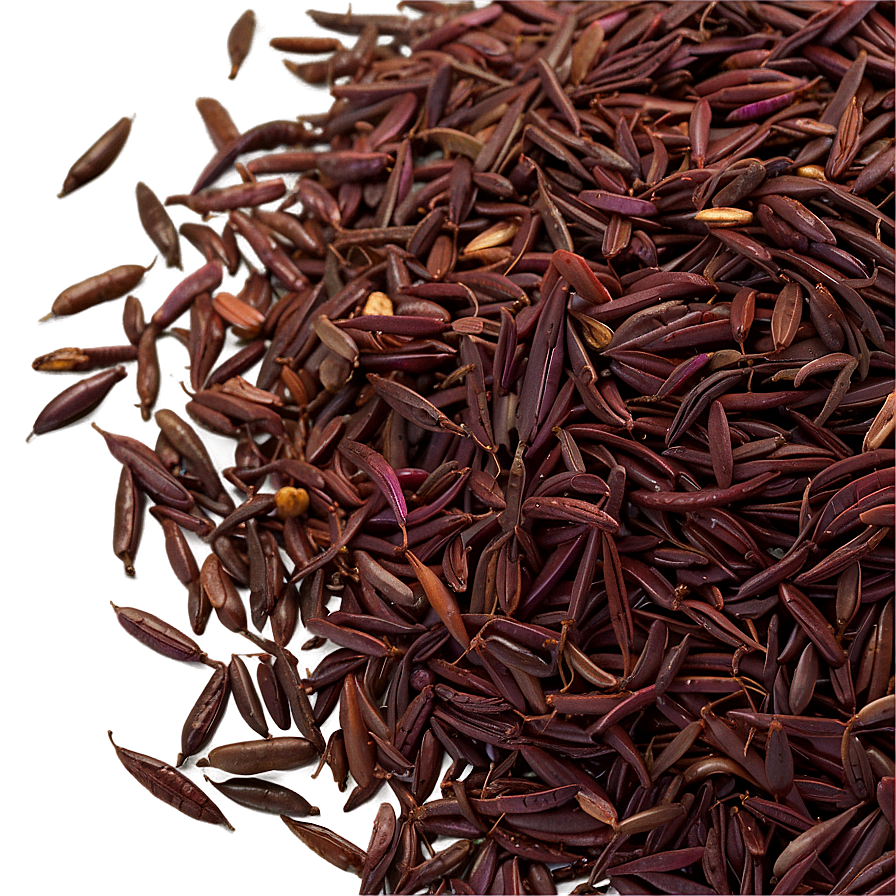 Wild Rice Png Tod24