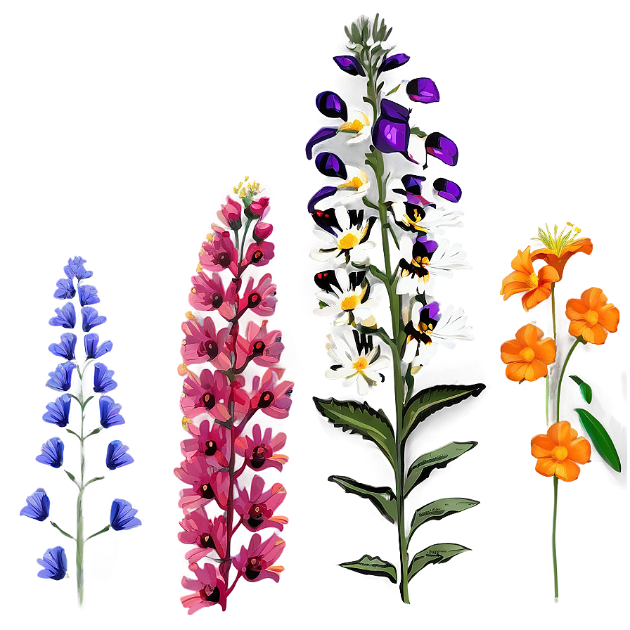 Wildflower Ecstasy Array Png 25