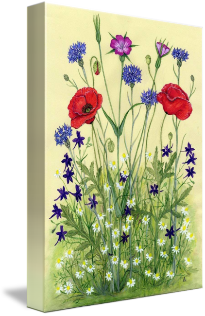 Wildflower Meadow Artwork