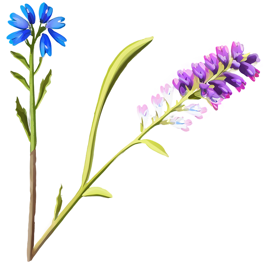 Wildflower Stem Png Uts21