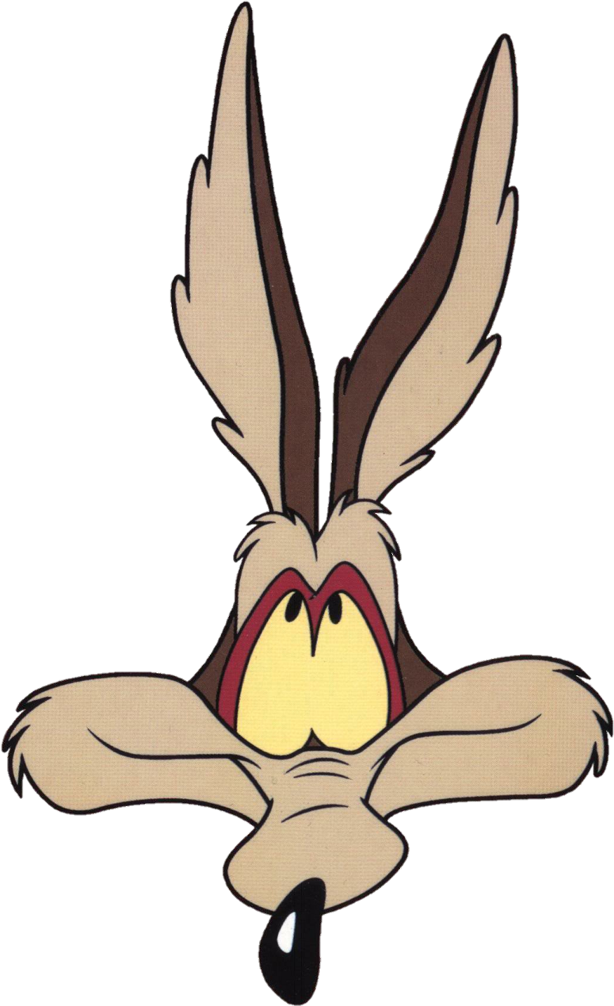 Wile_ E_ Coyote_ Frustrated_ Look