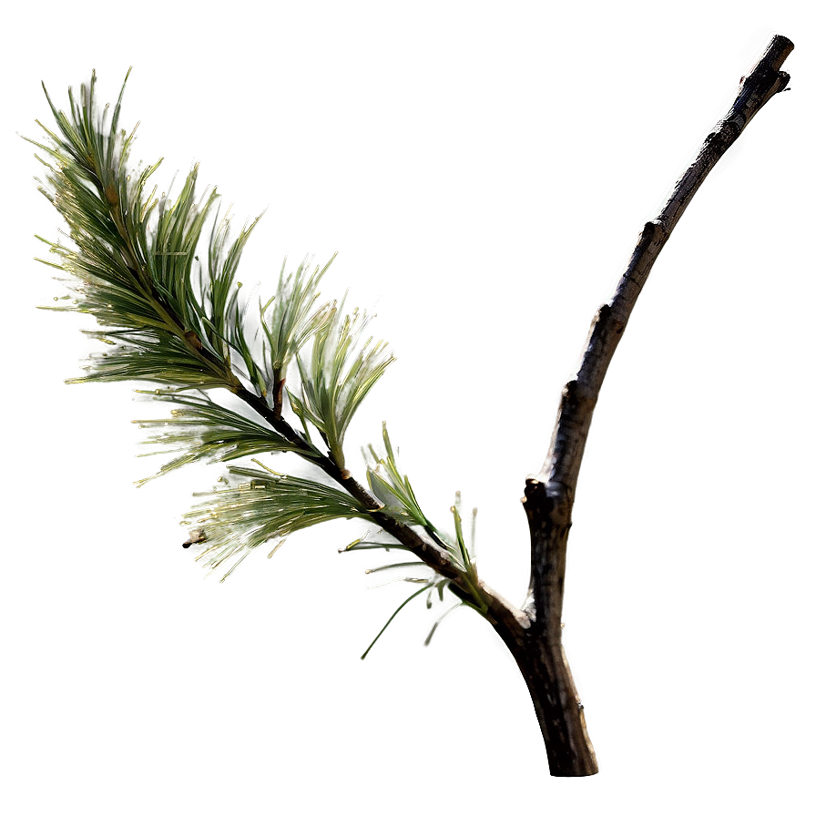 Windblown Twig Png Jap