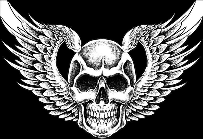 Winged Skull Graphic