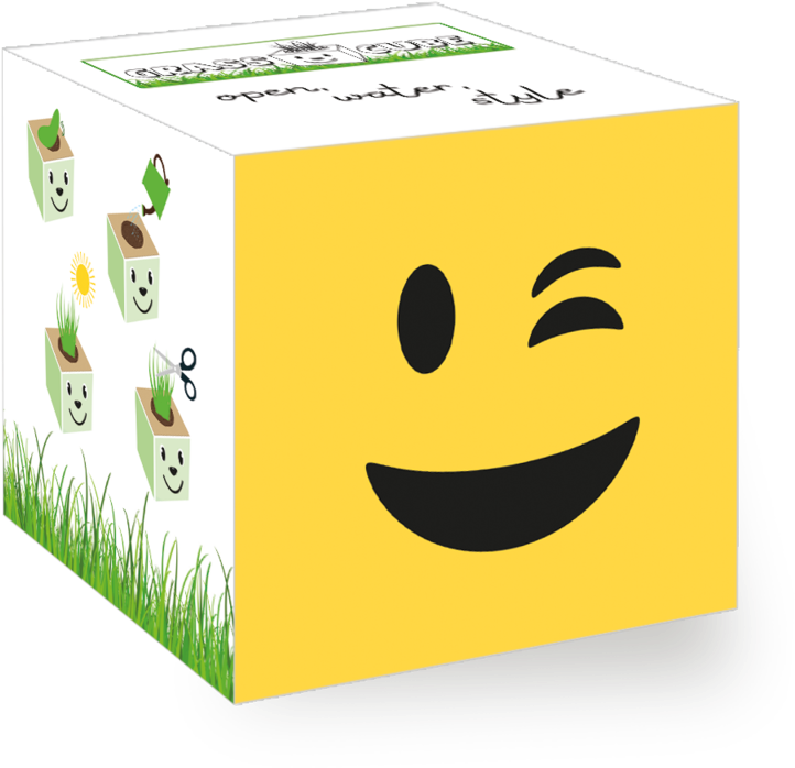 Winking Emoji Cube Packaging