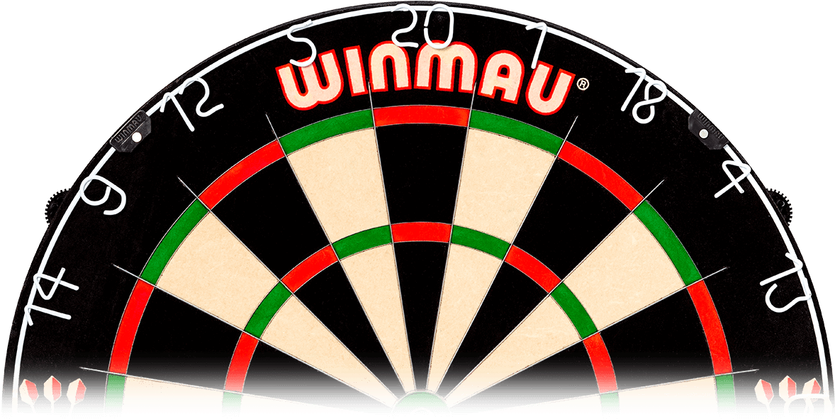 Winmau Dartboard Professional Setup