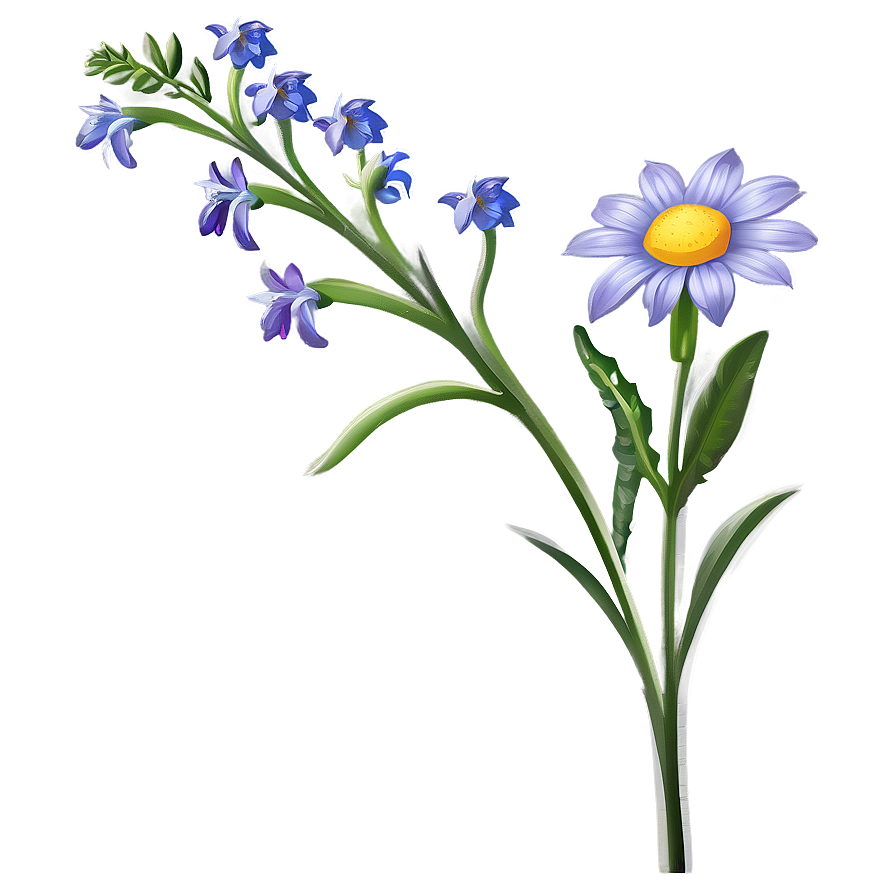 Winsome Wildflower Png Stt96