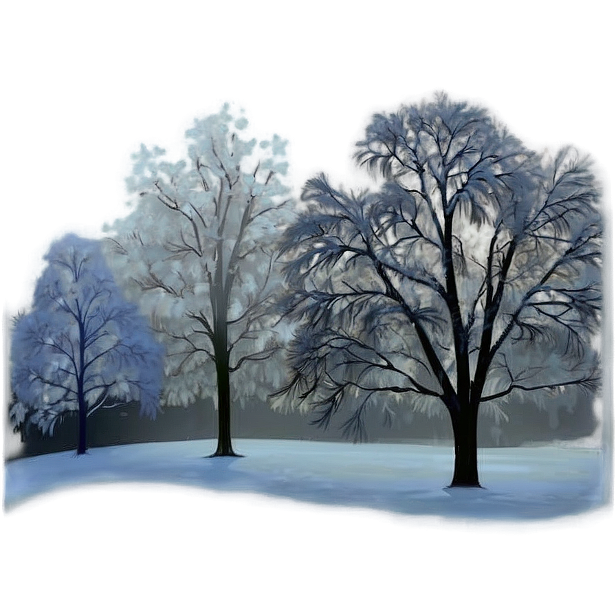 Winter Fog Transparent Png 05262024