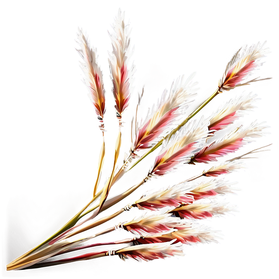 Winter Pampas Grass Png 69