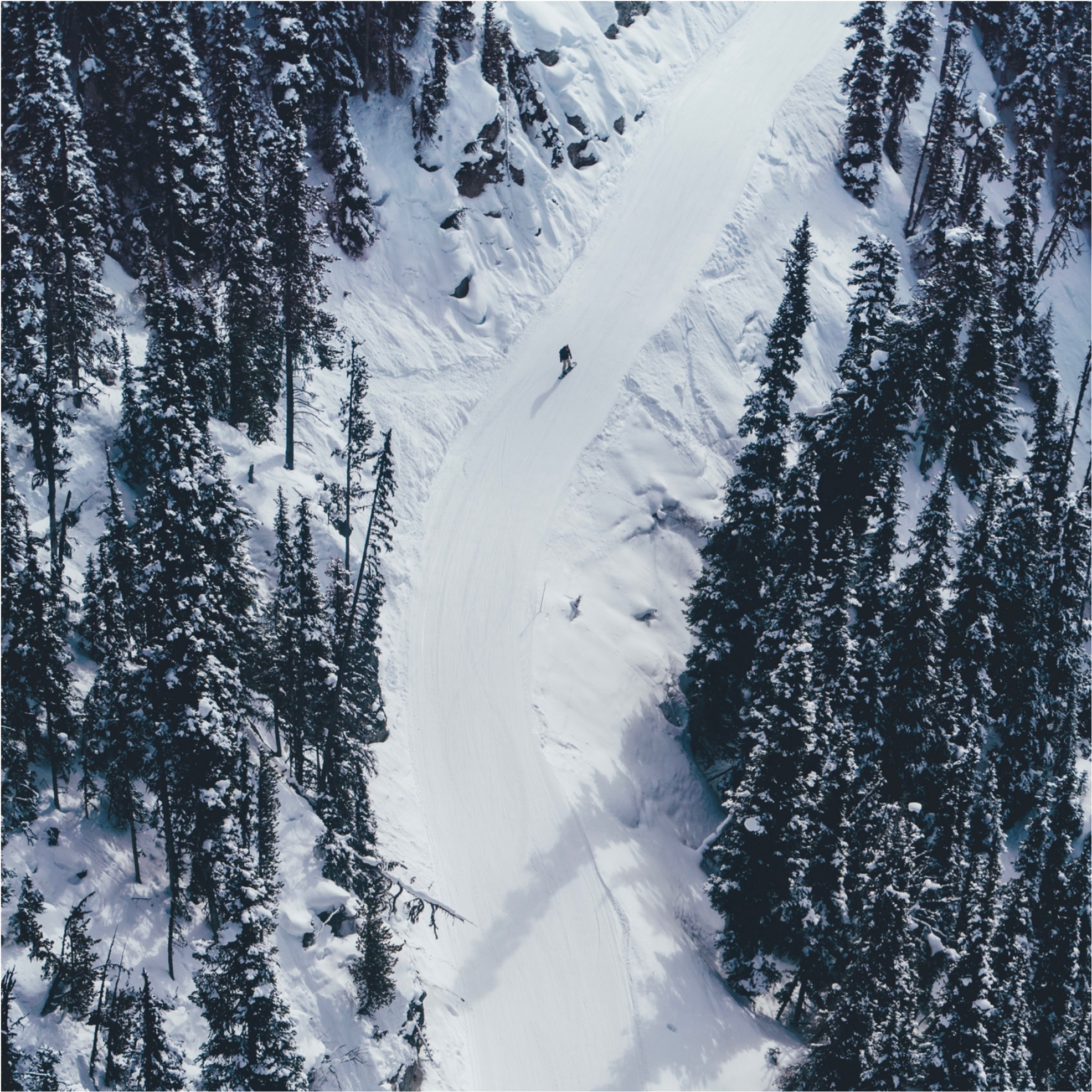 Winter_ Ski_ Trail_ Aerial_ View.jpg