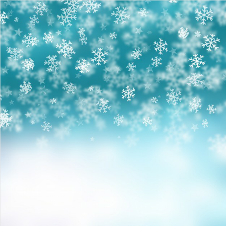 Winter Snowflake Backdrop