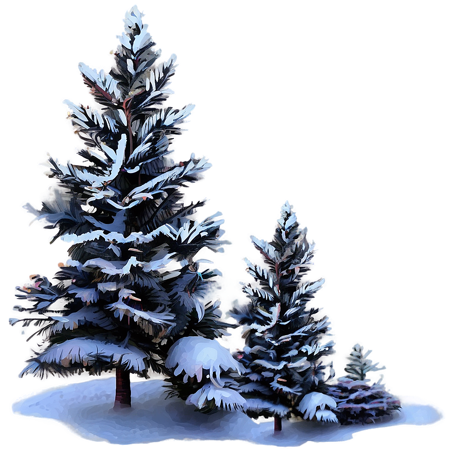 Winter Spruce Tree Scenery Png 36