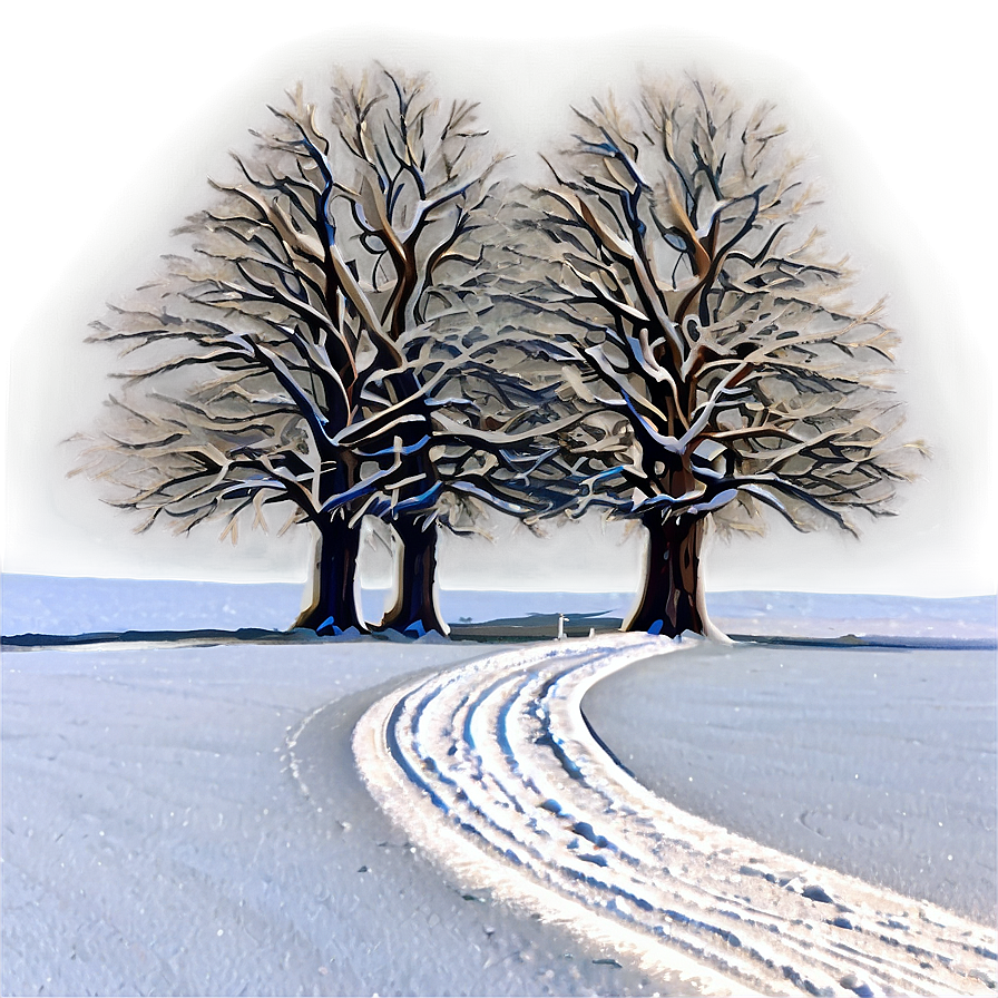 Winter Trees And Sleigh Tracks Png 97