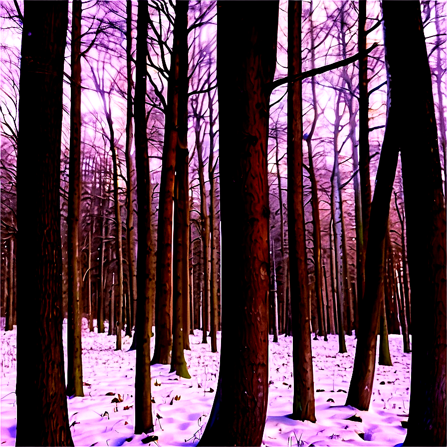 Winter Wonderland Woods Png 06242024