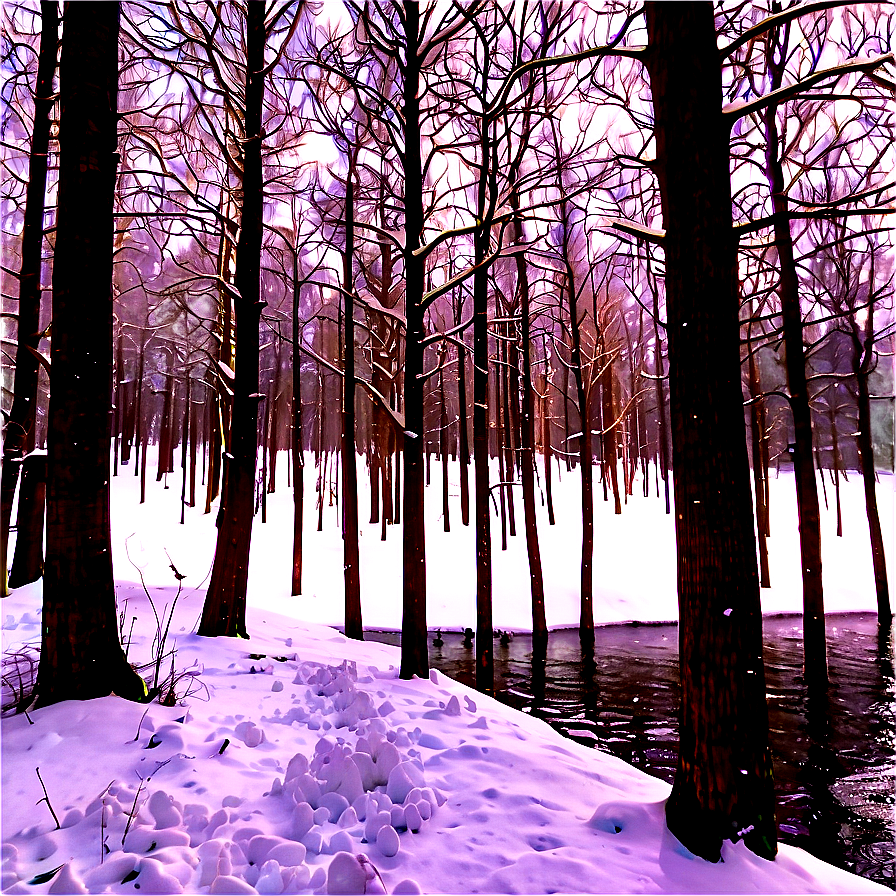 Winter Wonderland Woods Png 06242024