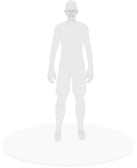 Wireframe Human Modelon Pedestal