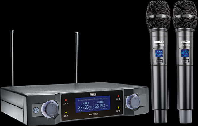 Wireless Microphone Systemwith Dual Handheld Mics