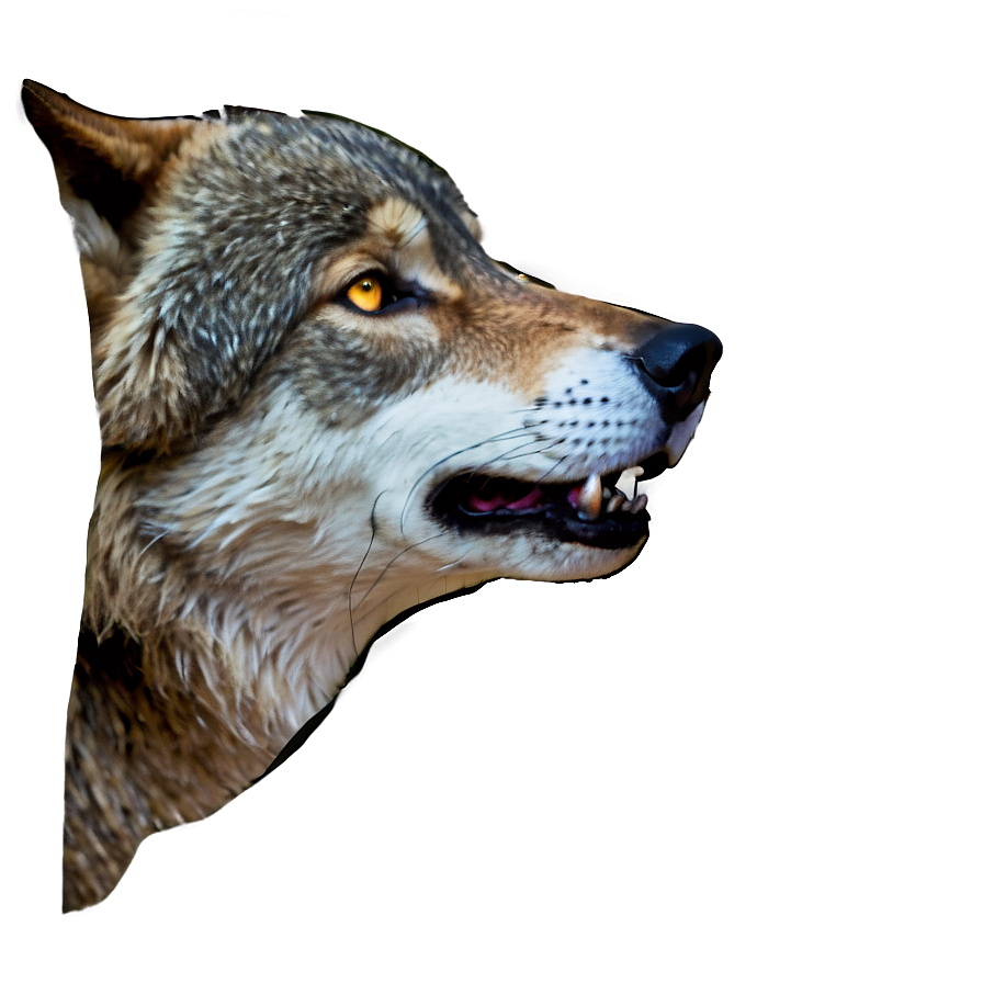 Wolf Eyes Profile Png Wia