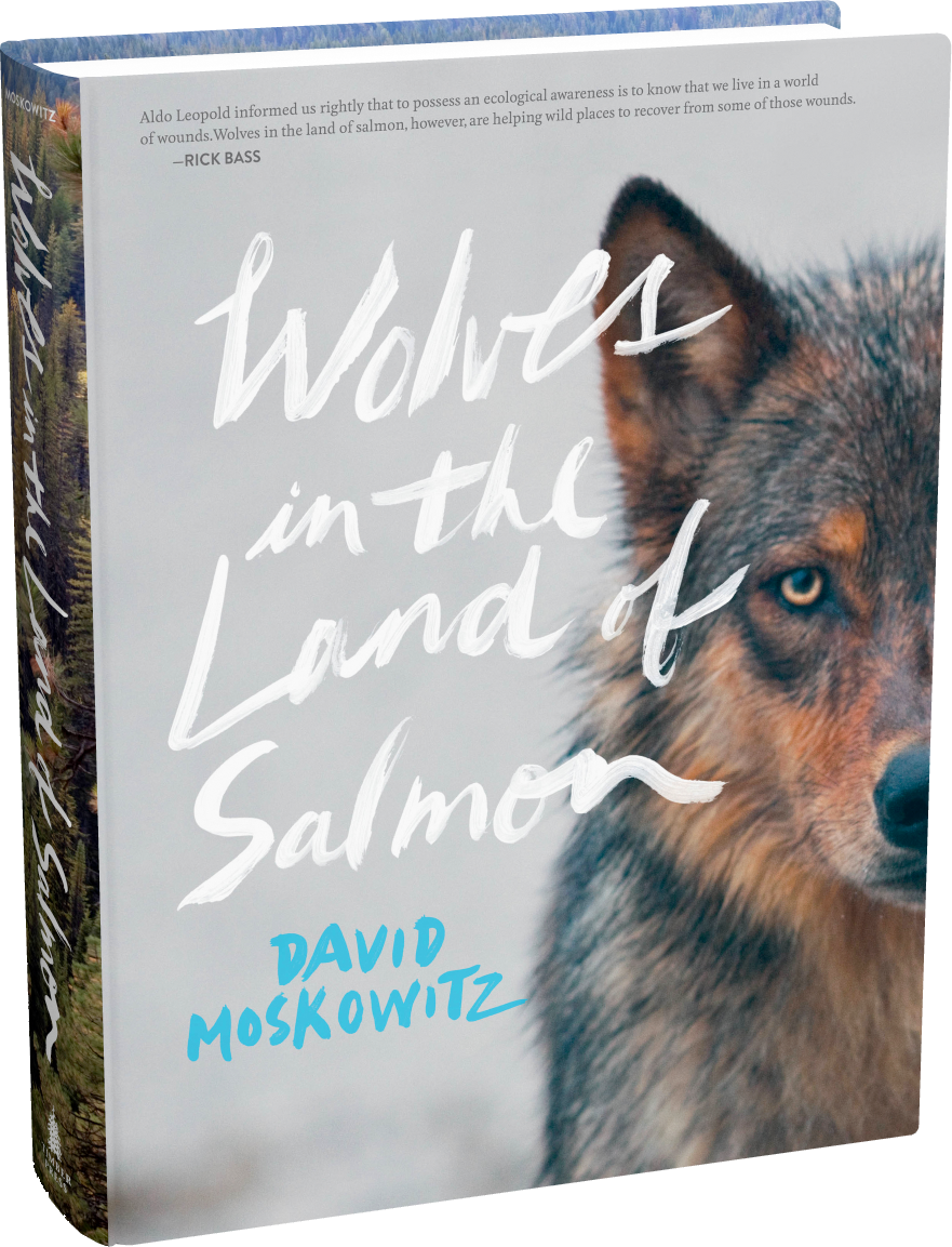 Wolvesinthe Landof Salmon Book Cover