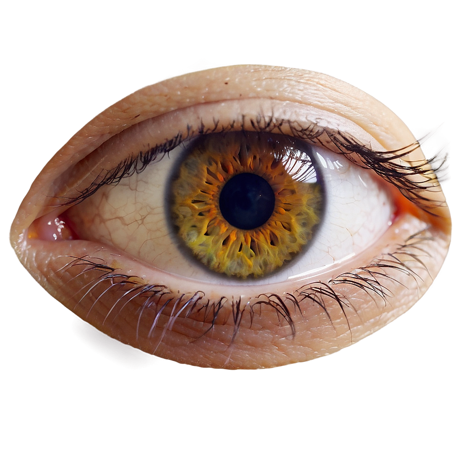 Woman Eyes Png 8