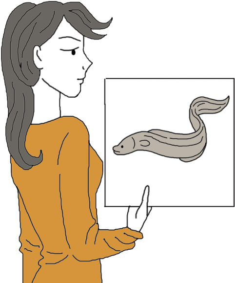 Woman Presenting Eel Illustration