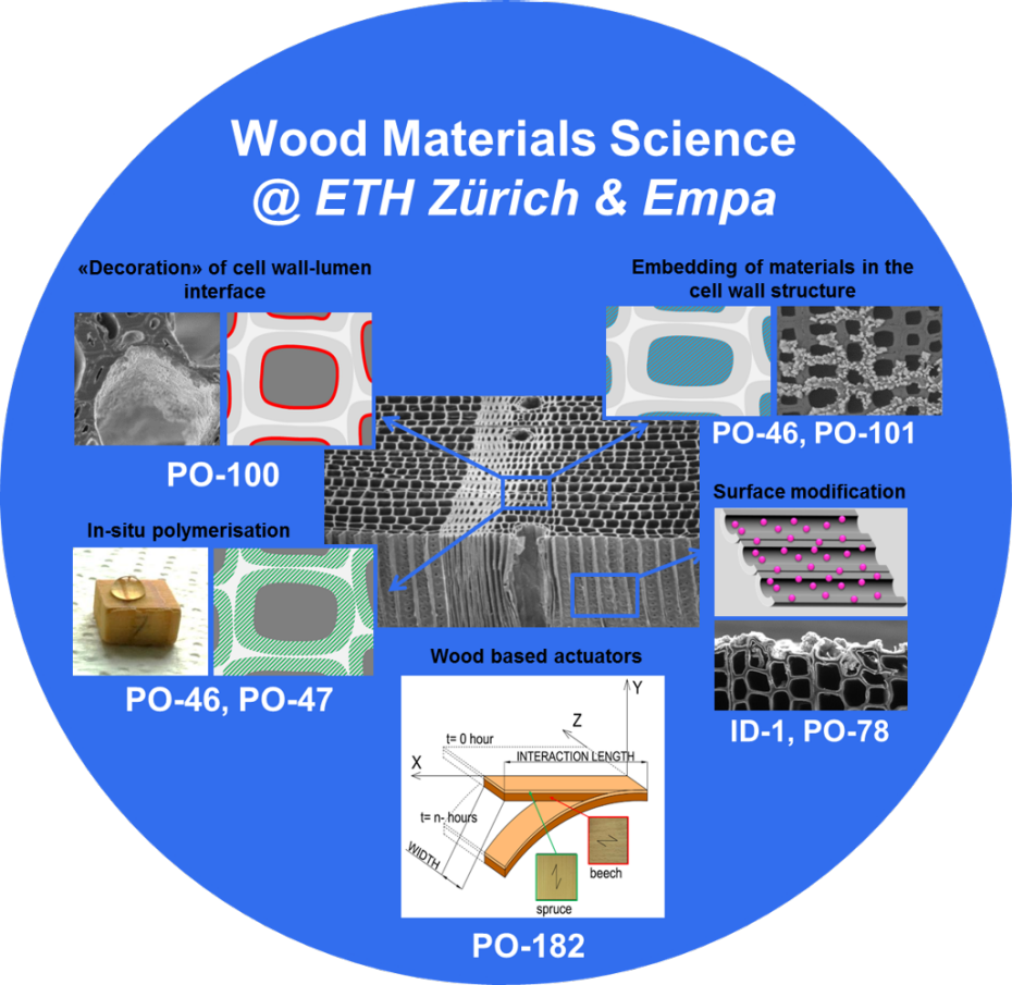 Wood Materials Science Research Poster