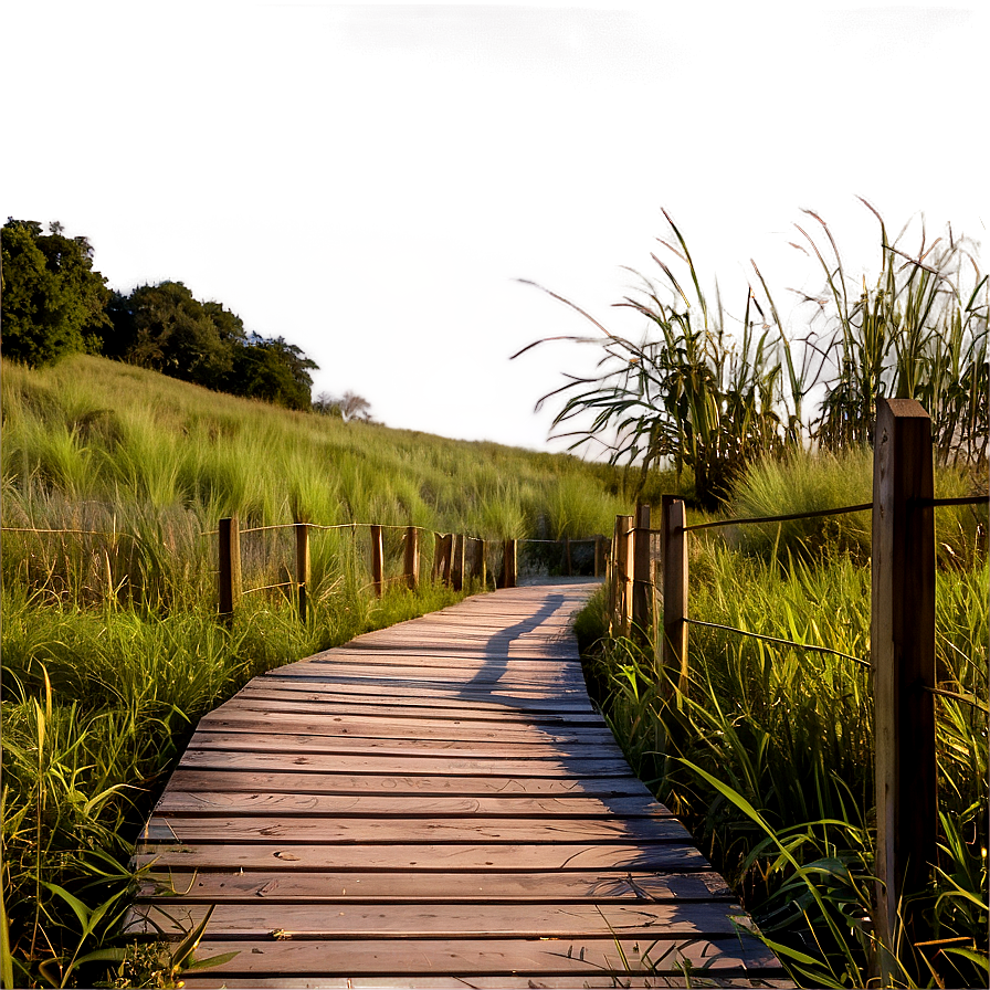 Wooden Boardwalk Path Png Noc22