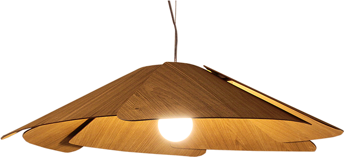 Wooden Pendant Light Design