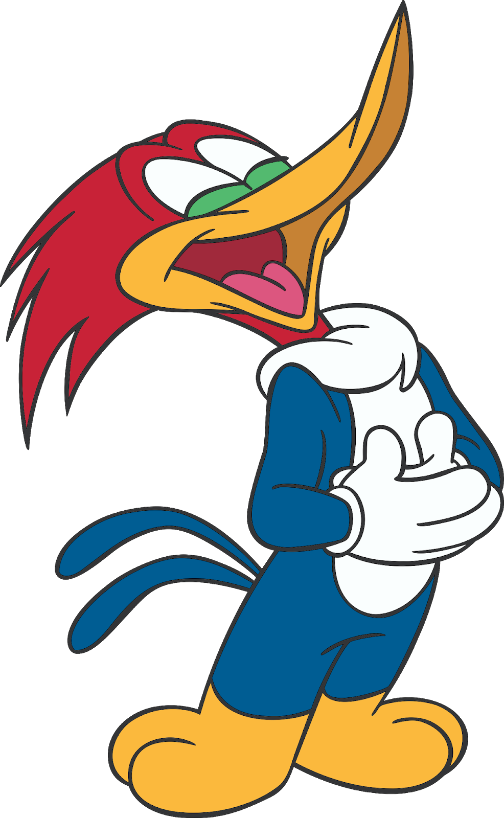 Woody Woodpecker Cartoon Character