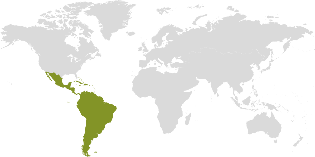 World Map Caribbean Highlighted