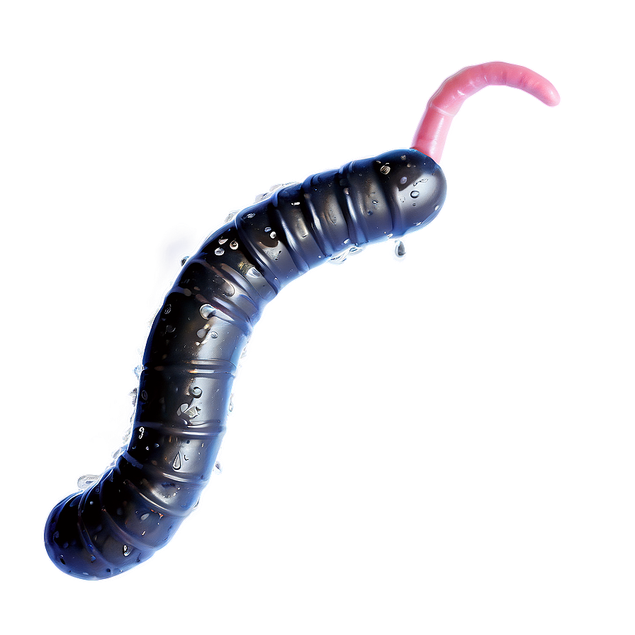 Worm In Rainy Weather Png 49