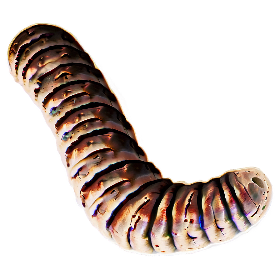 Worm In Soil Profile Png 05242024