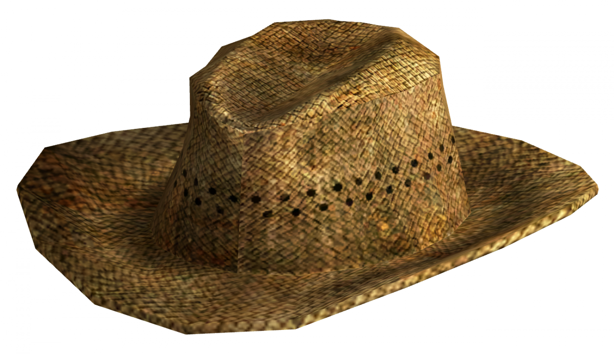 Woven Straw Hat Isolated