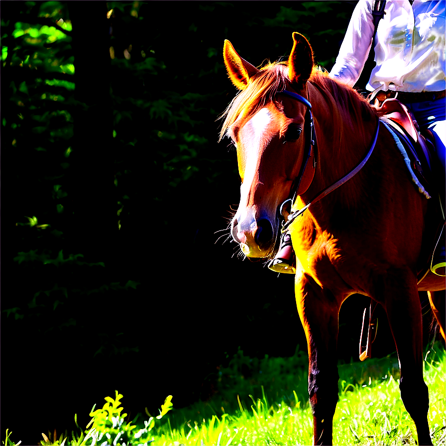 Wv Horseback Riding Trails Png 06282024