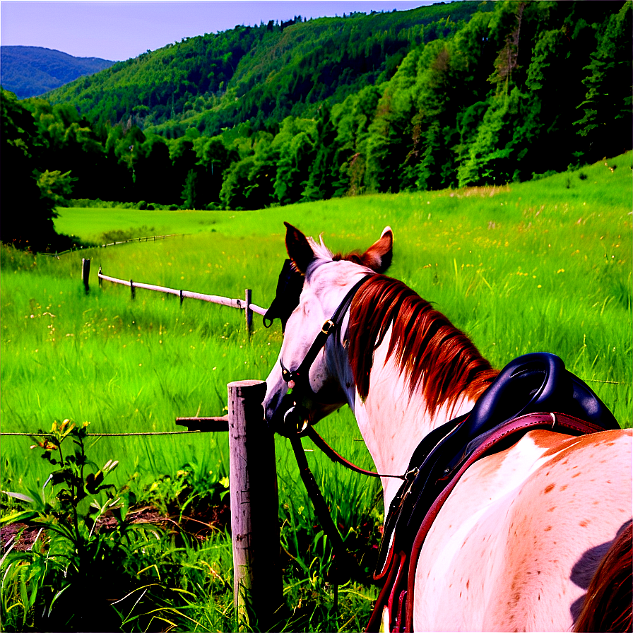 Wv Horseback Riding Trails Png 06282024