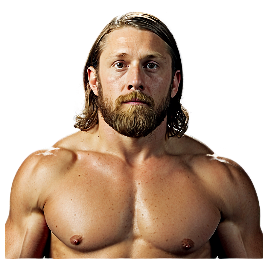 Wwe Daniel Bryan Png Fex